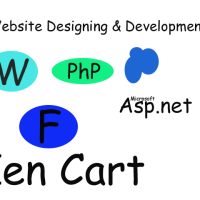 Web Designing and Website Development Consultancies